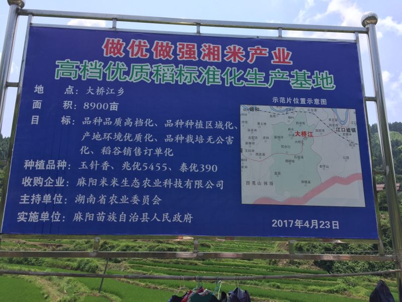 麻阳米米生态农业科技有限公司,富硒大米价格,糙米批发,麻阳大米加工,发芽糙米,芽米茶,营养粉