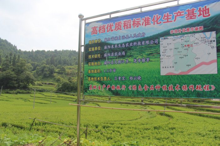 麻阳米米生态农业科技有限公司,富硒大米价格,糙米批发,麻阳大米加工,发芽糙米,芽米茶,营养粉