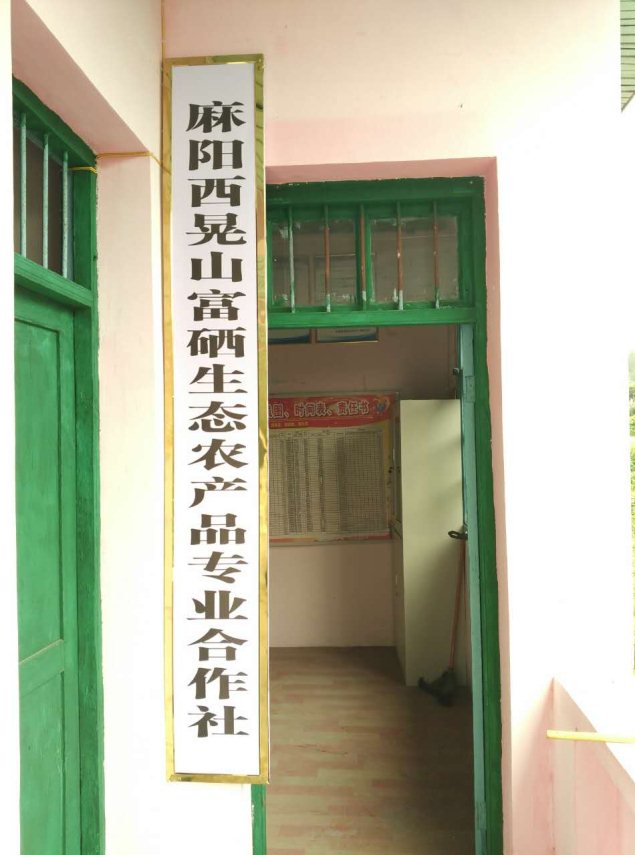 麻阳米米生态农业科技有限公司,富硒大米价格,糙米批发,麻阳大米加工,发芽糙米,芽米茶,营养粉